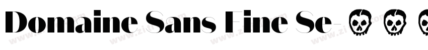 Domaine Sans Fine Se字体转换